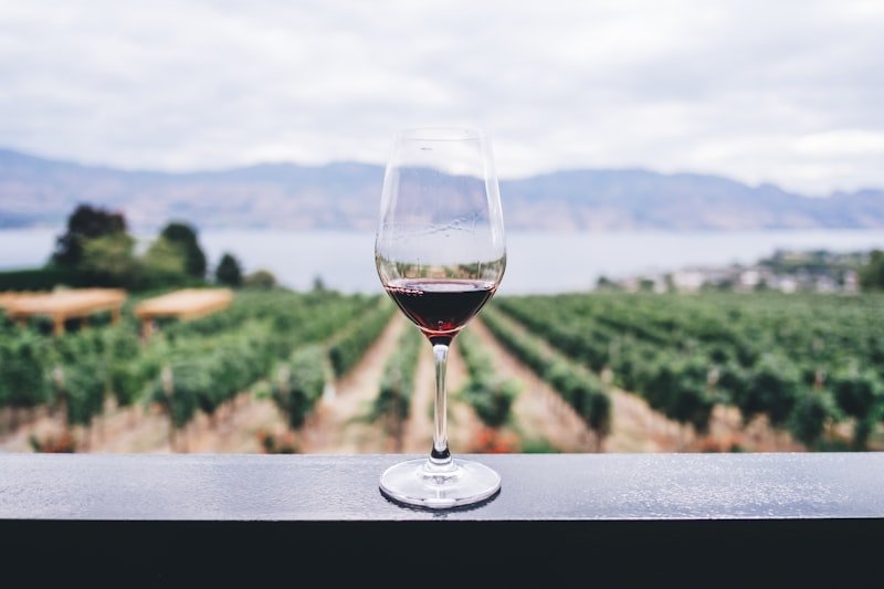 Exquisite Red and White Wines